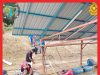 Tiga Hari Dicari, Pemancing Ditemukan Lemas Di Sungai Pahang #MGFlash