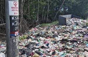 Keadaan Hutan Simpanan Kekal (HSK) Paya Bakau Sungai Merbok, Kedah yang dicemari sampah sarap.