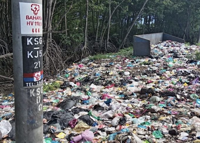 Keadaan Hutan Simpanan Kekal (HSK) Paya Bakau Sungai Merbok, Kedah yang dicemari sampah sarap.