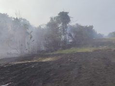 Kebakaran hutan 4.05 hektar berhampiran laluan paip gas