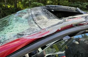 Seorang maut selepas pesawat kecil rempuh kereta di Kanada