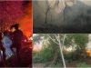Hutan FRIM Bidor terbakar, pemadaman disambung pagi ini