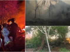Hutan FRIM Bidor terbakar, pemadaman disambung pagi ini