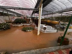KKR nafi banjir kilat Cameron Highlands berpunca projek jalan pintasan
