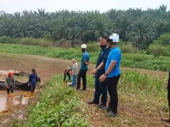 Cemar Sungai Sembrong: Kilang sawit diarah henti operasi, bakal digantung lesen