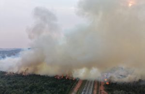 Kebakaran hutan di Bukit Pelali catat IPU sederhana