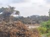 Kecekapan bomba kekang kebakaran 10 hektar hutan tak sampai 24 jam