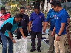 50,000 benih udang galah tingkat hasil nelayan untuk jangka panjang