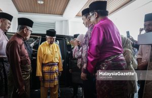 30 NGO bersatu pertahan Tuanku Muhriz