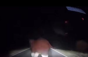 Tiga berdepan detik cemas kereta langgar gajah