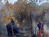 70 peratus kebakaran hutan di Bukit Pelali sudah dipadamkan