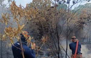 70 peratus kebakaran hutan di Bukit Pelali sudah dipadamkan