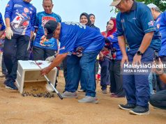 Penyu tercantik di Malaysia hanya di Tanjung Bidara – Ab Rauf