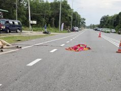 Lelaki maut tercampak, digilis lepas motosikal langgar lembu