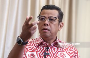 Kerjasama dengan PH hingga PRU16, langkah UMNO makin jelas