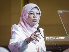 Harap lebih ramai wakil Puteri jadi calon PRN, PRU – Nurul Amal