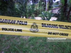 Budak perempuan 2 tahun parah diserang sekumpulan anjing liar depan rumah