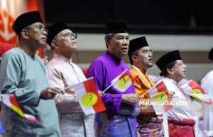 Tok Mat bawa model kepimpinan rasional untuk kebangkitan UMNO