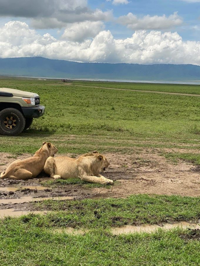 Ngorongoro Conservation Area,