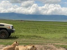 10 singa mati disyaki diracun di rizab hidupan liar Tanzania