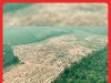 Penerokaan Haram Hutan Simpan Kekal Tasek Bera: Pahang Rugi RM387.8j #MGFlash