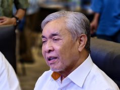 Jangan baca Perlembagaan Persekutuan ikut selera secara ‘ala carte’ – Zahid