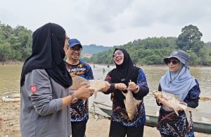1,500 peserta ‘serbu’ Kuala Wau, cuba nasib menjala patin, temoleh, toman, kerai dan tengalan