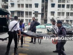Warga emas maut digilis kereta di parkir Flat Desa Green
