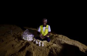 Penyu Belimbing mendarat buat kali keempat di Terengganu, 70 telur diselamatkan